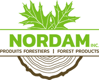 logo nordam